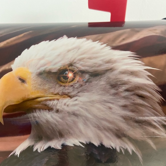 Patriotic Custom Mailboxes. Add your name & address optional. Trusted seller. - Picture 4 of 8